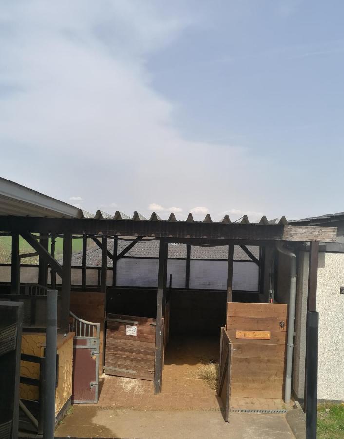 Schoenes Appartement " Die Ponybude" Auf Unserem Reiterhof Birkenbeul Εξωτερικό φωτογραφία